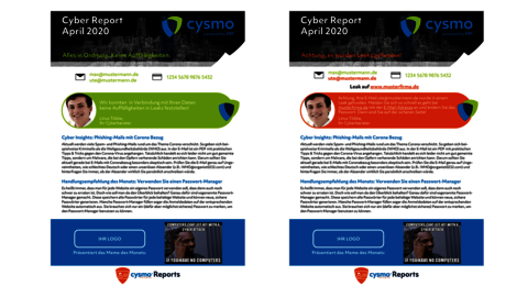 cysmo® sample cyber report
